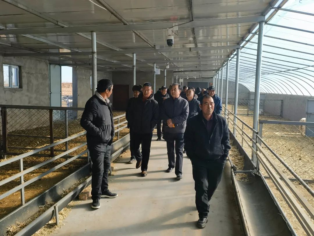 3e1e8dc743a231556a684594acf1148.jpg 圖片